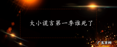大小谎言第一季谁死了