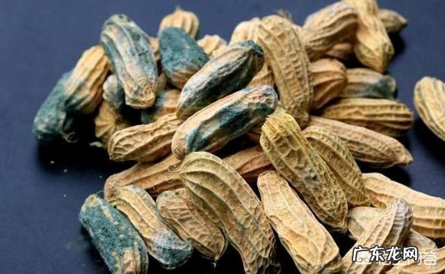 肝最怕5种食物!2个小动作,每天做一做,养肝脏,更健康!5种食物,2个动作指的是什么