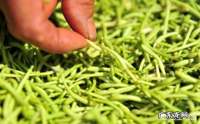 肝最怕5种食物!2个小动作,每天做一做,养肝脏,更健康!5种食物,2个动作指的是什么