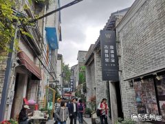 家里的猫因自己需要外出旅游，被寄养在亲戚家里了，去接时，猫咪一直躲着自己是怎么回事