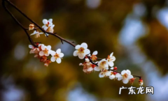 2022年什么时候立春,什么时候过年 今年过年立春了吗2022