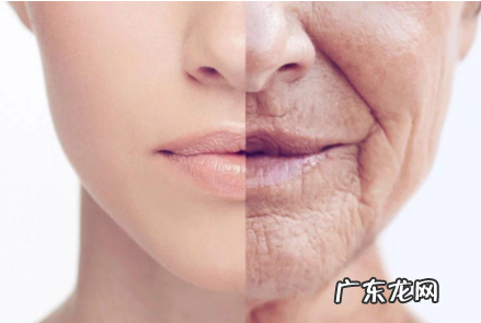 吃什么不会老的那么快呀 长期吃什么容易老得快