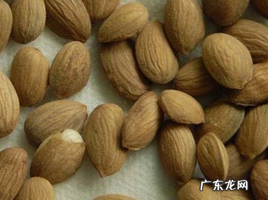 桃仁的功效与作用