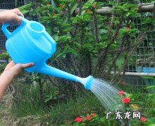 波尔多液可以灌根吗 波尔多液灌根的好处是什么