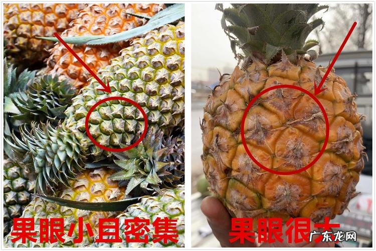 怎样挑菠萝