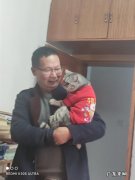 猫奴为什么越来越多 猫奴可以“贱”成什么样
