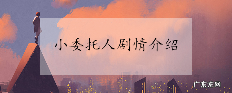 小委托人剧情介绍