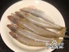 沙钻鱼有什么营养价值