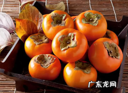 吃柿子10大禁忌 吃柿子的12个禁忌