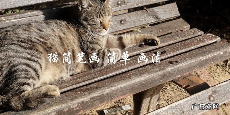 如何用简单的画法画一只猫的简笔画?