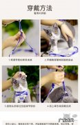 猫绳子怎么戴,猫绳子怎么绑？猫绳子的正确用法,赶紧来了解一下!
