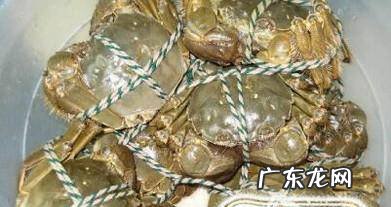 阳澄湖大闸蟹哪个牌子好网购阳澄湖大闸蟹注意