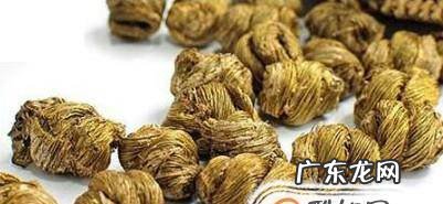 怎么辨别铁皮石斛真伪用什么方法