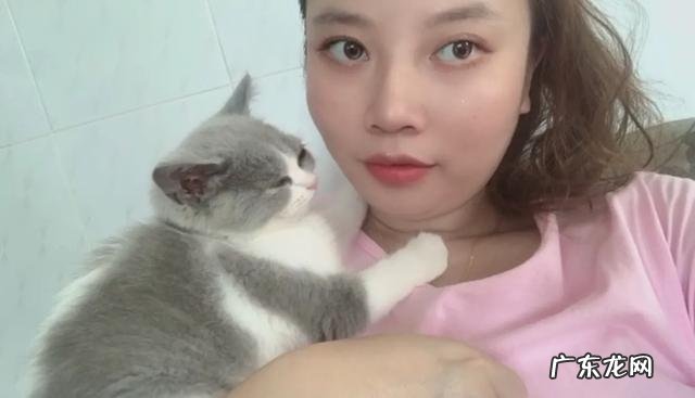 猫对主人撒娇的表现 你家猫/宠物有哪些奇特的撒娇方式