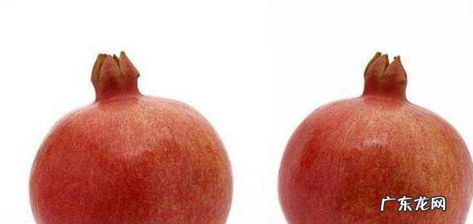 如何辨别石榴好坏支招挑选石榴的技巧