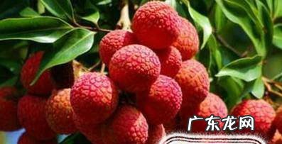 哪些水果不适宜晚上吃