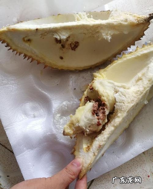 榴莲虫可以吃吗