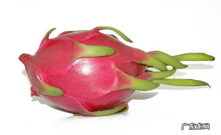火龙果的功效与作用
