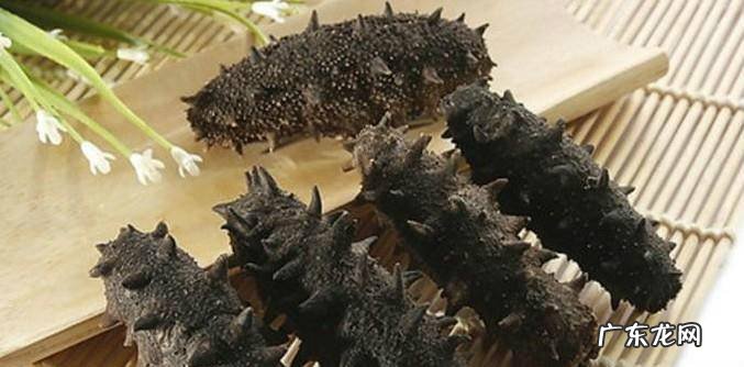 如何挑选海参海参什么样的好