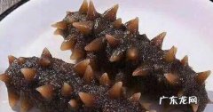 如何挑选海参海参什么样的好
