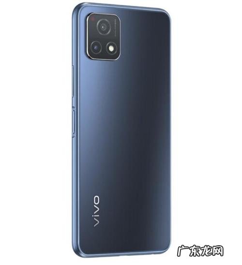 vivoy31s标准版和普通版的区别