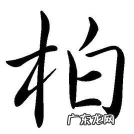 柏字取名寓意