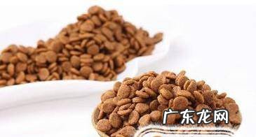 超实用教你如何挑选狗粮和辨别狗粮好坏