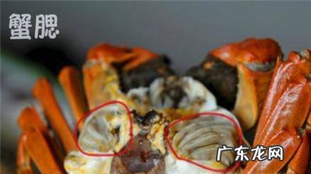 螃蟹哪部分能吃哪部分不能吃及其主要事项