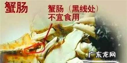 螃蟹哪部分能吃哪部分不能吃及其主要事项