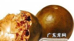 如何鉴别罗汉果好坏六大挑选技巧让你手到擒来