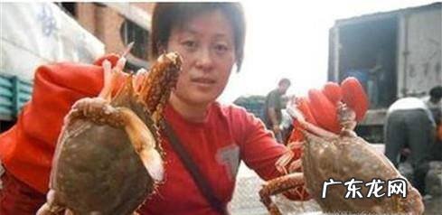 教你如何挑选肥美的梭子蟹