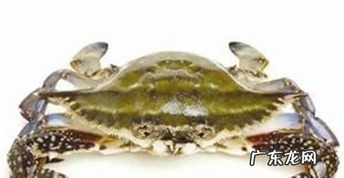 教你如何挑选肥美的梭子蟹