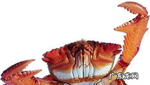 教你如何挑选肥美的梭子蟹