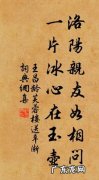 一片冰心在玉壶的上一句是什么？