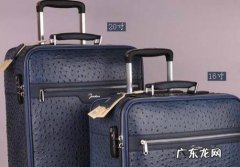 怎样挑选行李箱