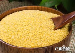 小米的功效与作用