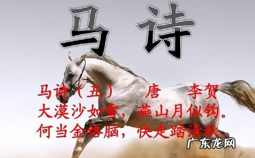 快走踏清秋的上一句