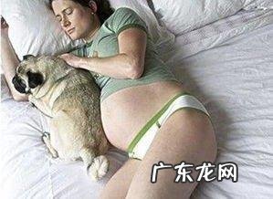 家养狗怎么注意卫生 养狗的人怎样保持家里卫生