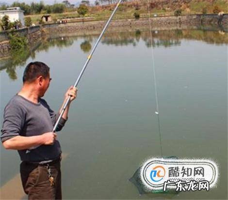 捕鱼神器有哪些
