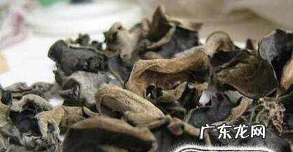 怎么样选够优质量的东北黑木耳