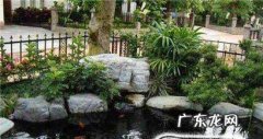 怎么在家里建水池养鱼