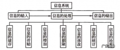 信息系统的组成