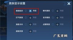 王者怎么隐藏段位