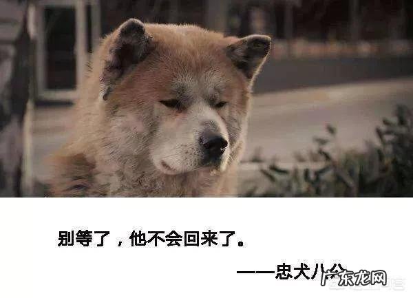狗会非常害怕一些人 你认为对狗狗来说，什么事情最可怕