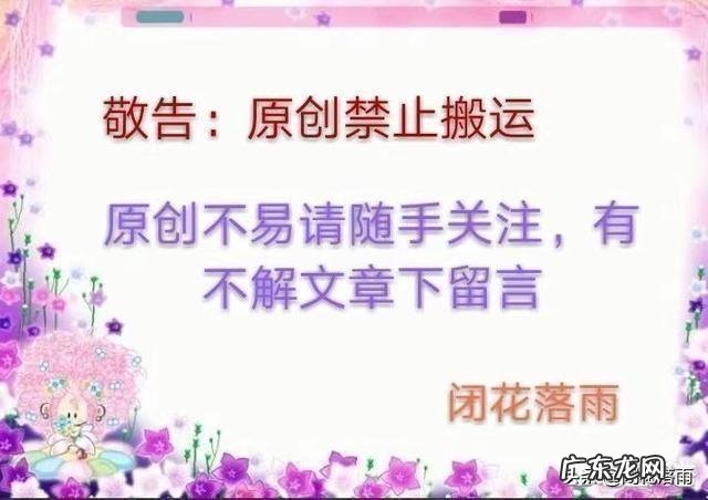 金毛会不会把泰迪配上 养狗的老铁说说，泰迪敢挑战金毛吗