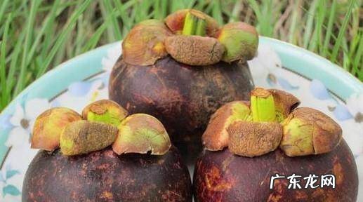 怎么挑选新鲜山竹山竹怎么保存