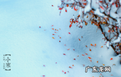 2020小寒是几九第几天 小寒是第几个九2022