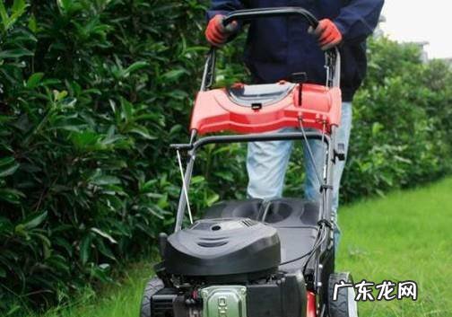 如何挑选家用割草机