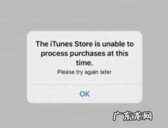 苹果bug是什么意思啊