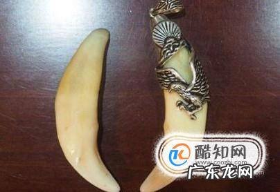 狼牙怎么辨别真假